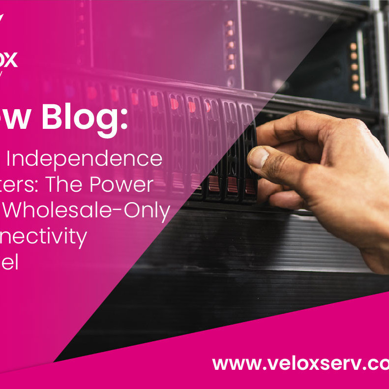 The Power of a Wholesale-Only Connectivity Model