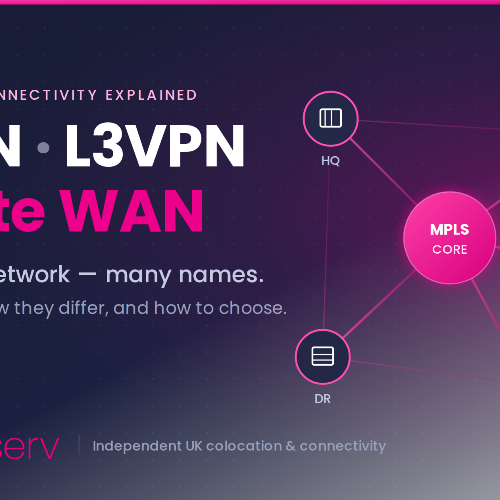 IP VPN, L3VPN or PWAN (Private WAN)?