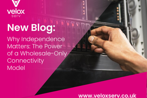 The Power of a Wholesale-Only Connectivity Model